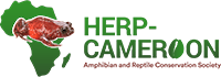 LOGO HERP-CAMEROON